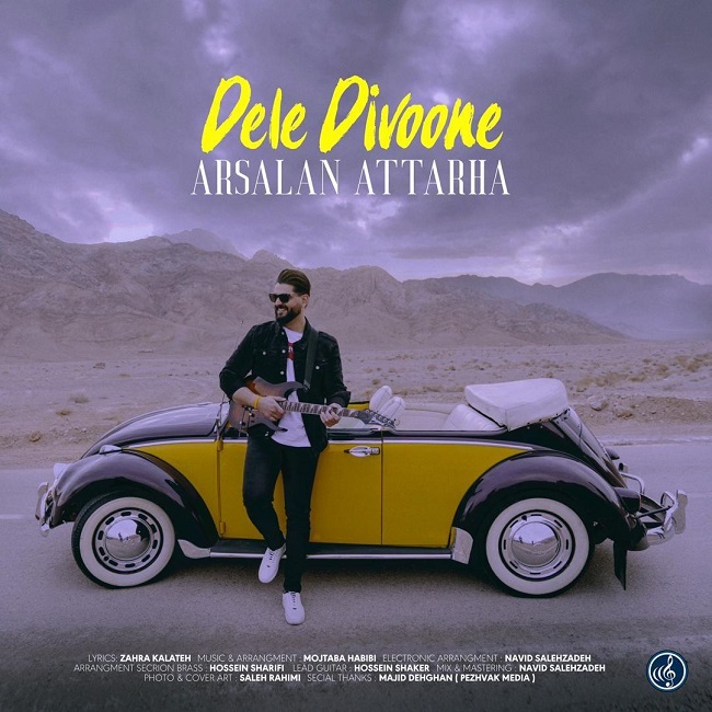 دانلود آهنگ دل دیوونه دانلود آهنگ دل دیوونه